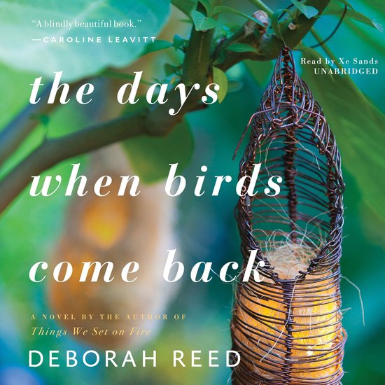 The Days When Birds Come Back - cover