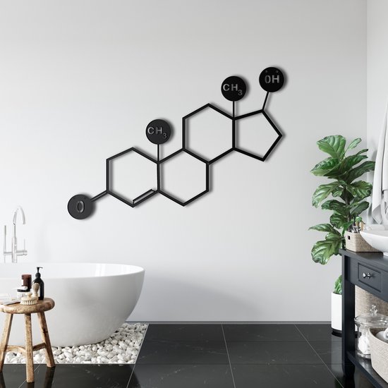 Wanddecoratie | Testosteron Molecuul / Testosterone Molecule| Metal - Wall Art | Muurdecoratie | Woonkamer | Buiten Decor |Zwart| 90x63cm