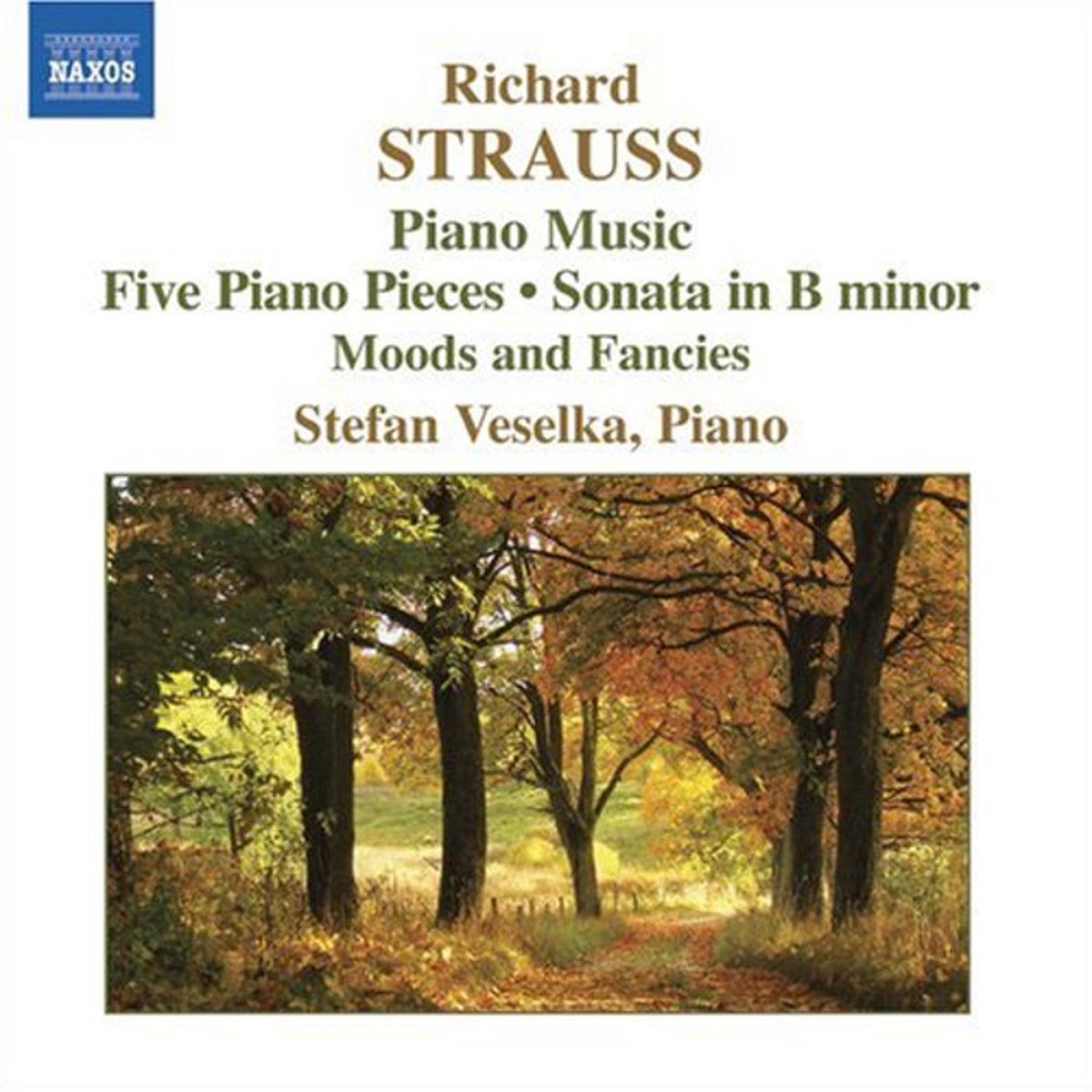 Stefan Veselka - Strauss: Piano Music (CD)