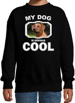 Rhodesische pronkrug honden trui / sweater my dog is serious cool zwart - kinderen - Pronkruggen liefhebber cadeau sweaters - kinderkleding / kleding 122/128