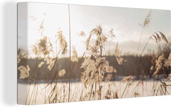 Tableau sur toile Water - Herbe de la Pampa - Plantes - 160x80 cm - Décoration murale