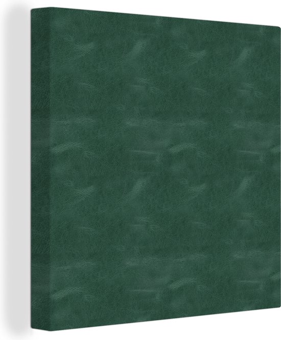 Canvas Schilderij Leer - Structuur - Dieren - 50x50 cm - Wanddecoratie