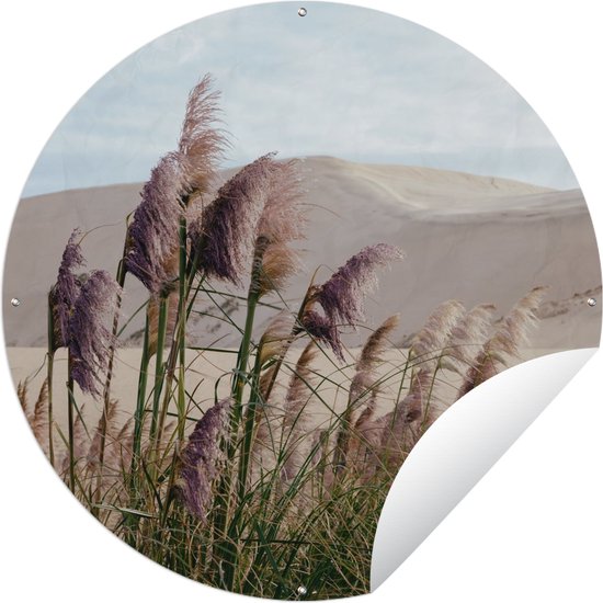 Garden Circle Pampas Grass - Sable - Plantes - Dune - 150x150 - Affiche de jardin ronde - Extérieur