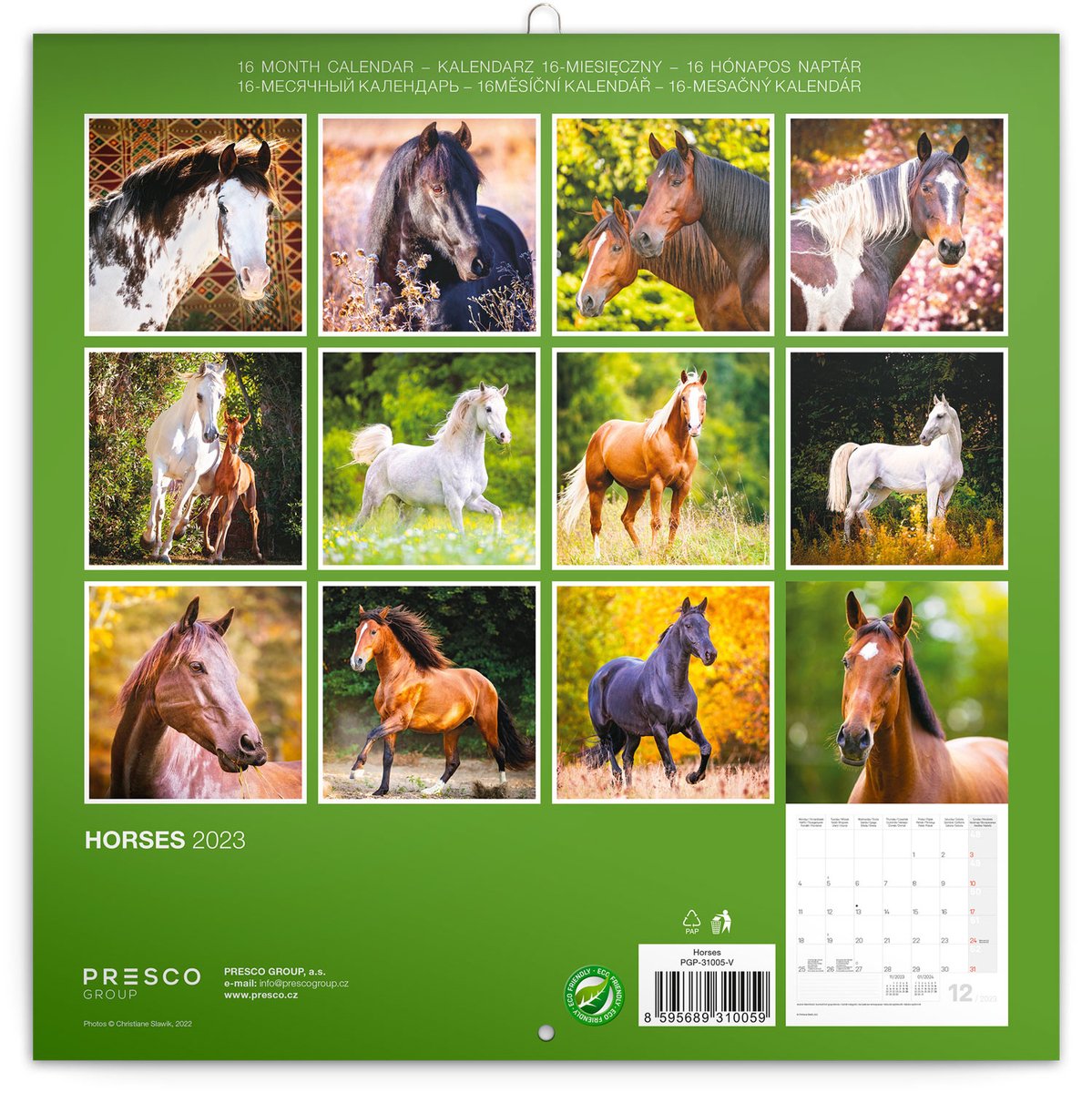 Horses Kalender 2023