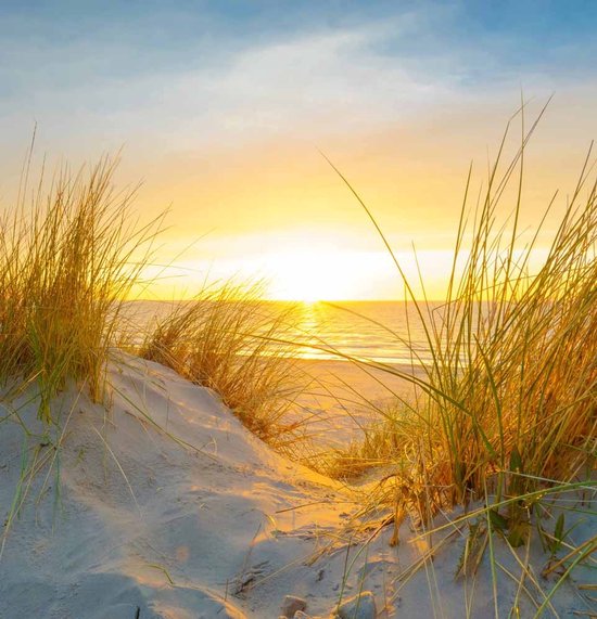 Papier peint photo du moulin à huile avec vue sur les prairies 250 x 260 cm