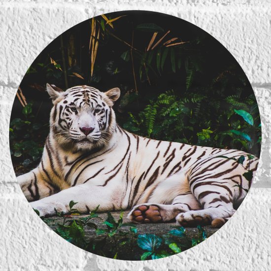 WallClassics - Muursticker Cirkel - Witte Tijger in de Jungle - 20x20 cm Foto op Muursticker