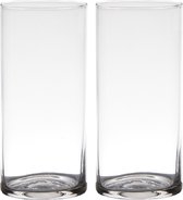 Set van 2x stuks transparante home-basics Cylinder vorm vaas/vazen van glas 19 x 9 cm - Bloemen/takken vaas voor binnen gebruik