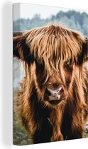 Toile - Highlander écossais - Animaux - Vache - Nature - Water - Décoration murale - Peintures sur toile - Peintures salon - 40x60 cm