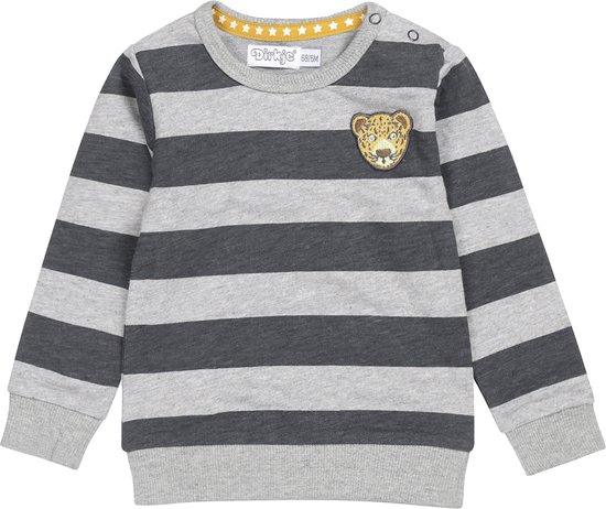 Dirkje baby jongens sweater stripe Tiger Grey