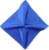 We Love Ties - Pochet kobaltblauw repp