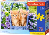 Castorland Ginger Kittens - 70pcs