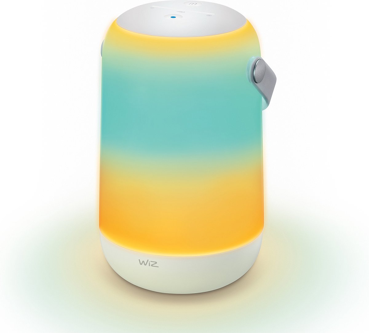 WiZ - LED RGBW Dimbare wandlamp voor buiten LED/9,5W/230V IP44 Wi-Fi
