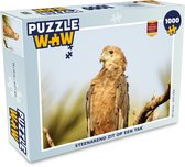 Puzzel Steenarend zit op een tak - Legpuzzel - Puzzel 1000 stukjes volwassenen