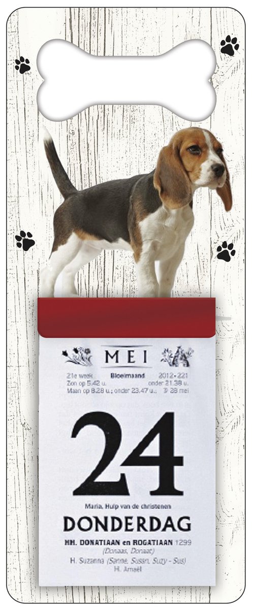 Scheurkalender 2024 Hond: Beagle