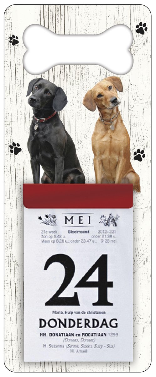 Scheurkalender 2026 Hond: Labrador