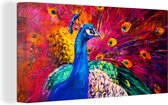 Canvas - Olieverf - Schilderij - Pauw - Vogels - Kunst - 80x40 cm - Wanddecoratie - Schilderijen op canvas