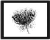 Foto in frame , Berenklauw  , 70x100cm , Zwart wit  , Premium print