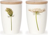 Mok |  Vild Gulerod (Daucus Carota)