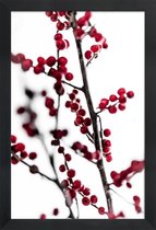 JUNIQE - Poster in houten lijst Red Berries 1 -40x60 /Rood & Wit