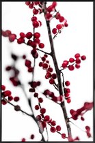 JUNIQE - Poster in kunststof lijst Red Berries 1 -20x30 /Rood & Wit