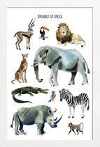 JUNIQE - Poster in houten lijst Animals of Africa -30x45 /Bruin &