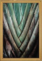 JUNIQE - Poster met houten lijst Travellers Palm -60x90 /Groen &