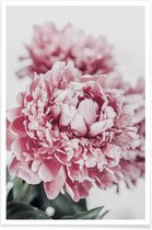 JUNIQE - Poster Peony in Focus -13x18 /Grijs & Roze