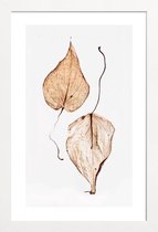 JUNIQE - Poster in houten lijst Delicate Leaves -30x45 /Bruin & Groen