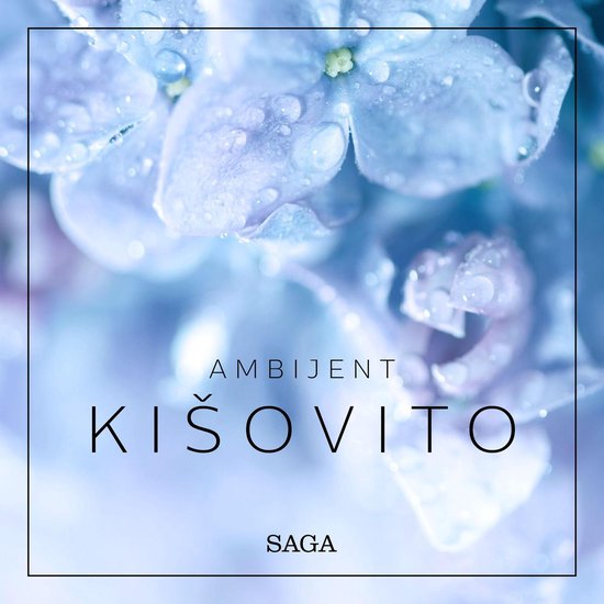 Ambijent - Kišovito - cover