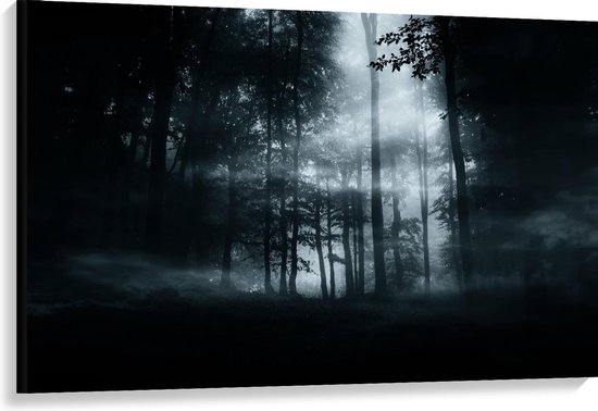 Canvas  - Mist in Donker Bos - 120x80cm Foto op Canvas Schilderij (Wanddecoratie op Canvas)