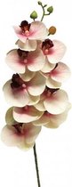 Phalaenopsis Orchidee Bora 77 cm roze kunstbloem Nova Nature