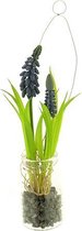 Muscari in glass pot hanger blue 24 cm kunsthangplant Nova Nature