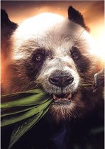 Hungry Panda Aluminium 80x120 cm botanische jungle dieren wanddecoratie