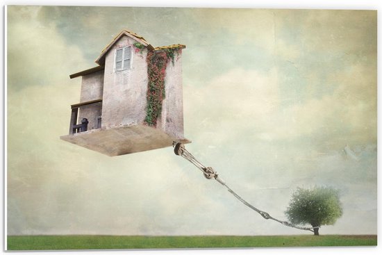 Forex - Surrealistische Huis aan Boom - 60x40cm Foto op Forex