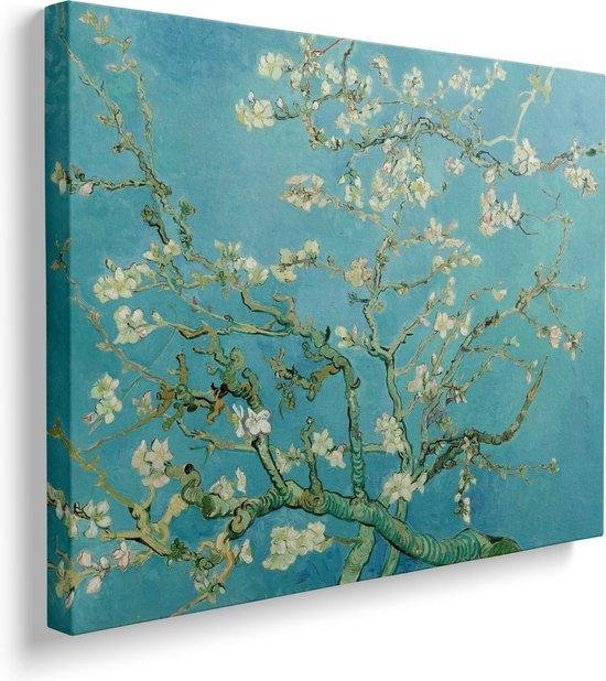 Vincent van Gogh, Amandelbloesem, 1890 op canvas, afmetingen van dit  schilderij zijn | bol.com