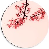 Dibond Wandcirkel - Bloesemtak op Roze Achtergrond - 30x30cm Foto op Aluminium Wandcirkel (met ophangsysteem)