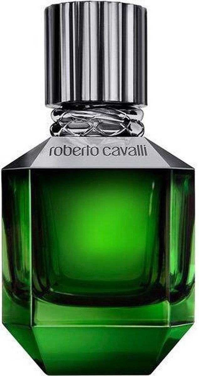 Goedkoopste Roberto Cavalli Paradise Found for Men eau de parfum 50ml