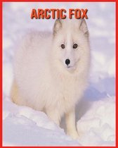 Arctic Fox