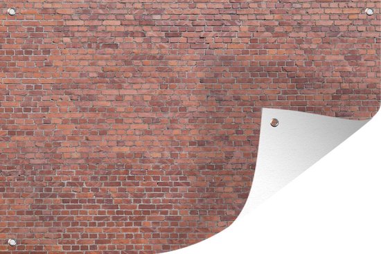 goochelaar Huh echtgenoot Tuindecoratie Grote bakstenen muur - 60x40 cm - Tuinposter | bol.com
