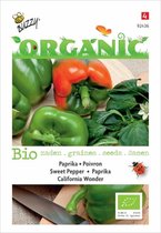 Buzzy® Organic Paprika California Wonder (BIO)