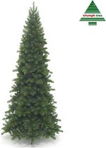 Triumph Tree - Pencil pine kerstboom groen TIPS 1564 - h260xd117cm- Kerstbomen
