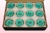 Rozenkoppen | 100% natuurlijk | Turquoise | M