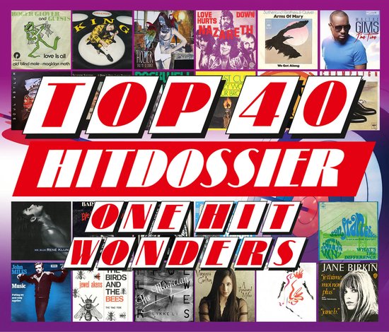 Top 40 Hitdossier - One Hit Wo