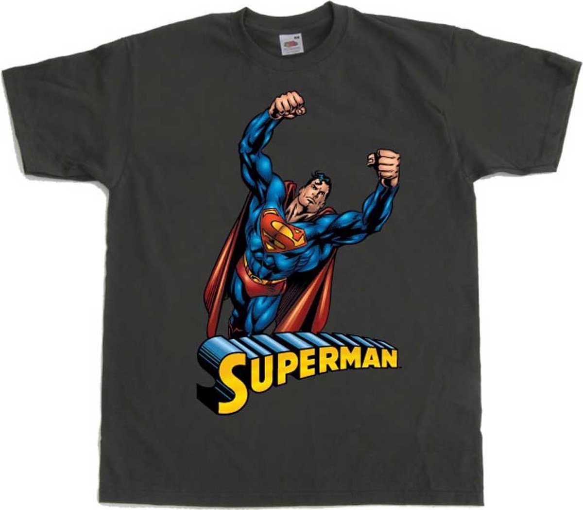 DC Comics Superman Heren Tshirt -S- Flying Grijs