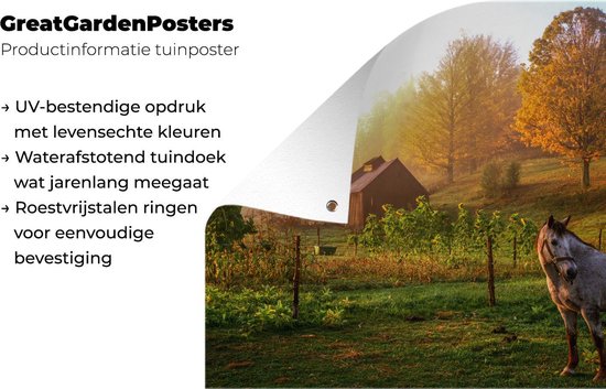 Muurdecoratie buiten Grasveld met paard in Vermont - 160x120 cm - Tuindoek - Buitenposter