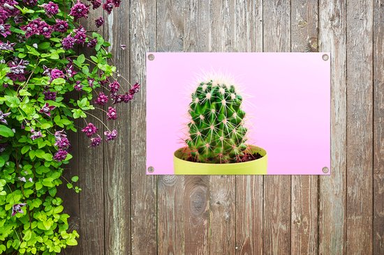 Cactus en pot sur fond rose affiche de jardin toile en vrac 90x60 cm - Toile de jardin / Toile d'extérieur / Peintures d'extérieur (décoration de jardin)