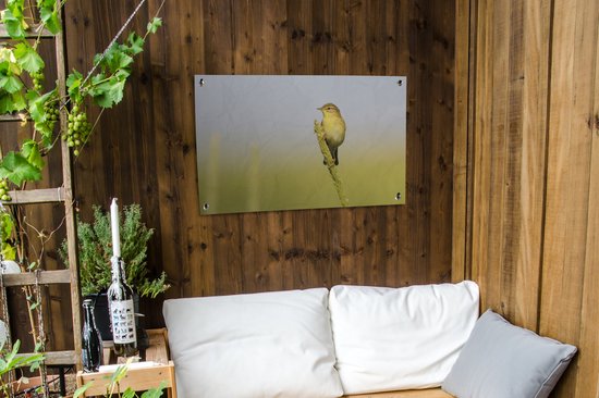 Fitis on lookout affiche de jardin en vrac 90x60 cm - Toile de jardin / Toile d'extérieur / Peintures pour l'extérieur (décoration de jardin)