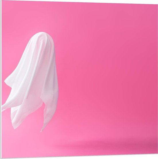 Panneau PVC Épaisseur 10 Mm Blanc Pvc Expansé Mesure 50x50 cm | Leroy