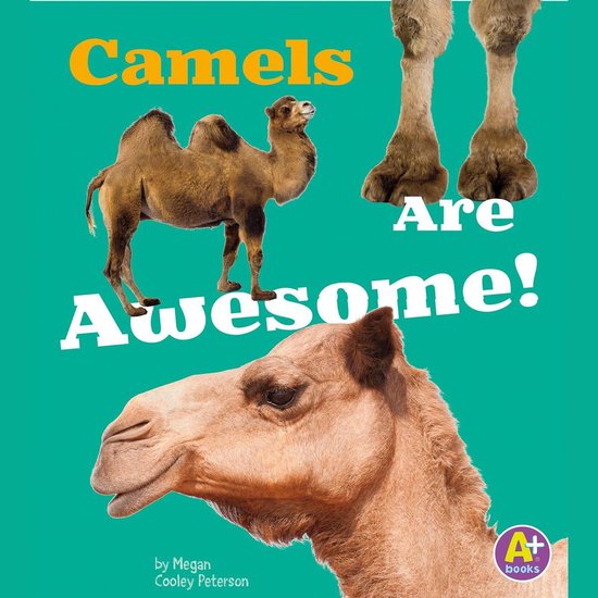 Camels Are Awesome! - cover