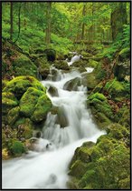 Schilderij Waterval in het bos